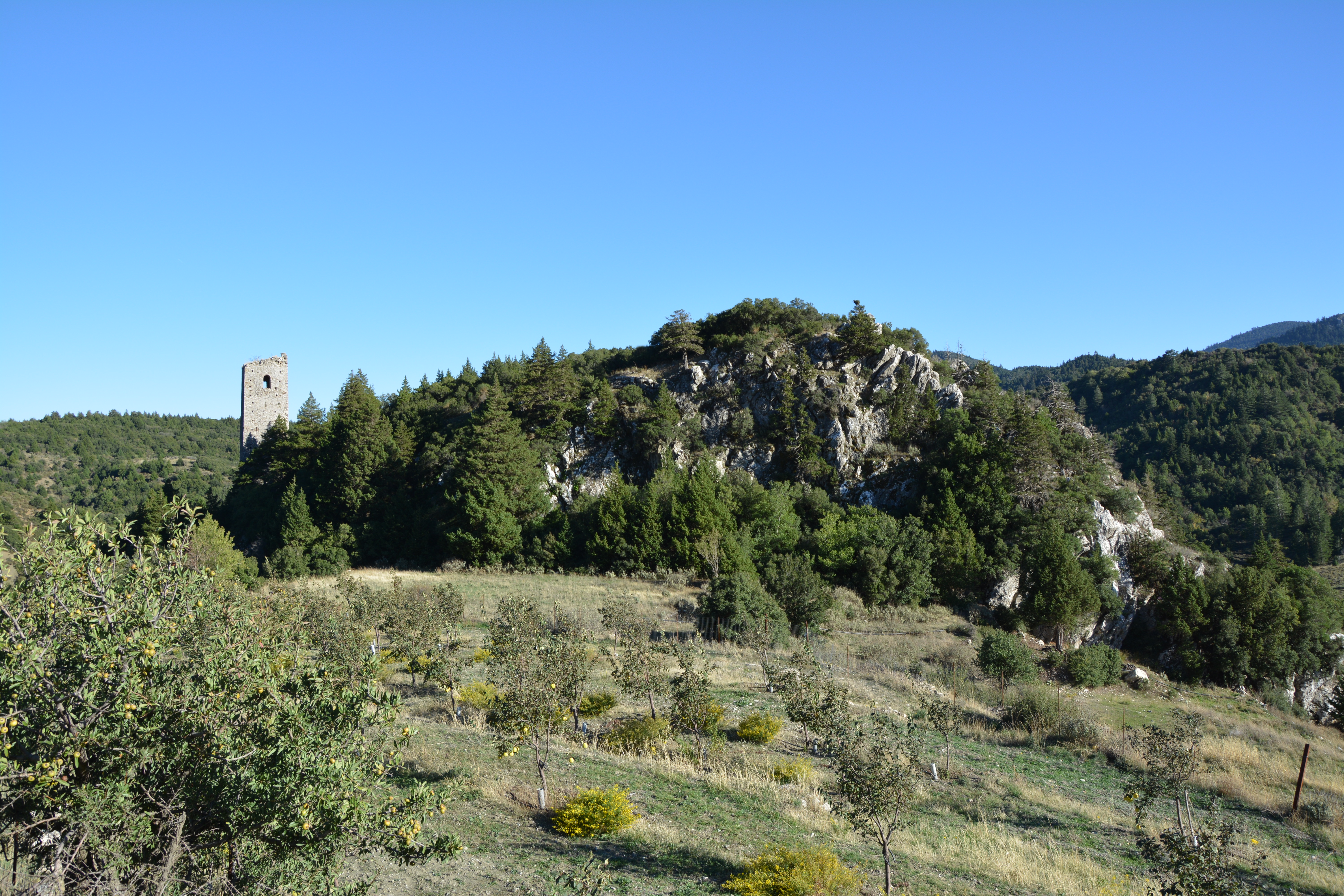 castleImage